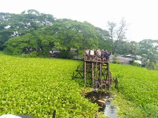 বরগুনায় সেতু ভেঙে বরযাত্রীবাহী গাড়ি খালে, নিহত ৯